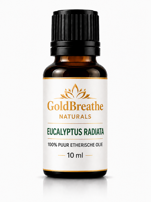 GoldBreathe Naturals Eucalyptus Radiata