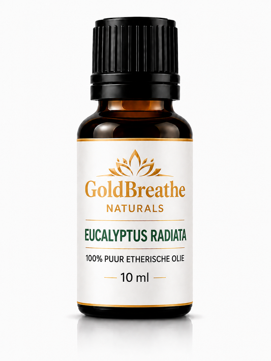 GoldBreathe Naturals Eucalyptus Radiata