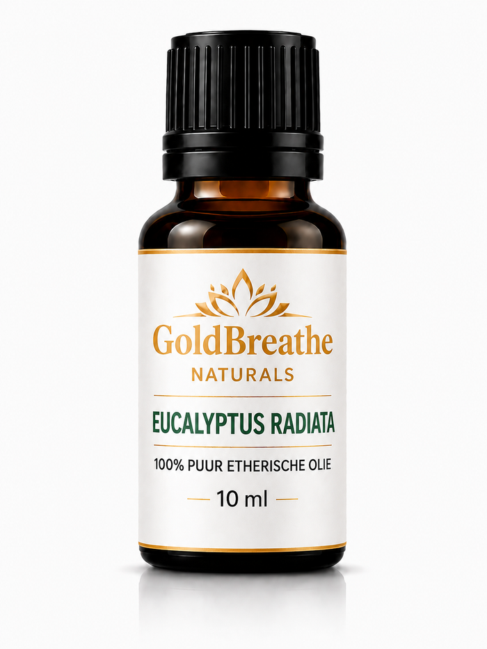 GoldBreathe Naturals Eucalyptus Radiata